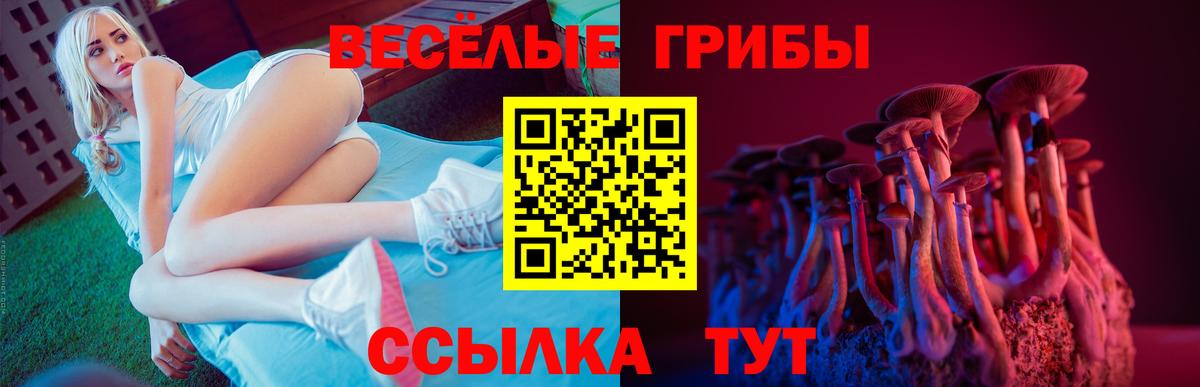 Галлюциногенные грибы Psilocybine cubensis Североморск